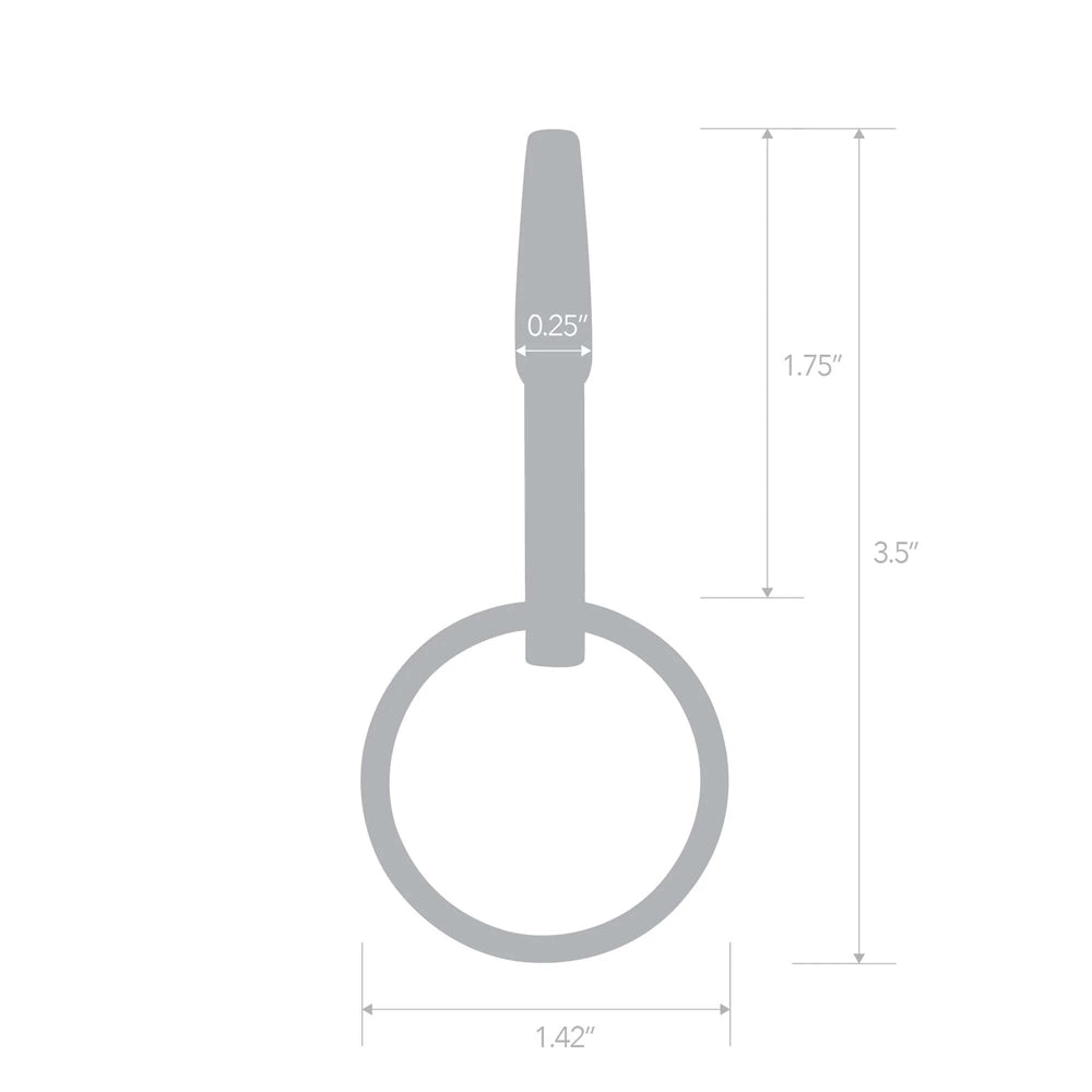 Stainless Steel Penis Plug With Ring | 4890808283295 | Available at EroticWarehouse.com