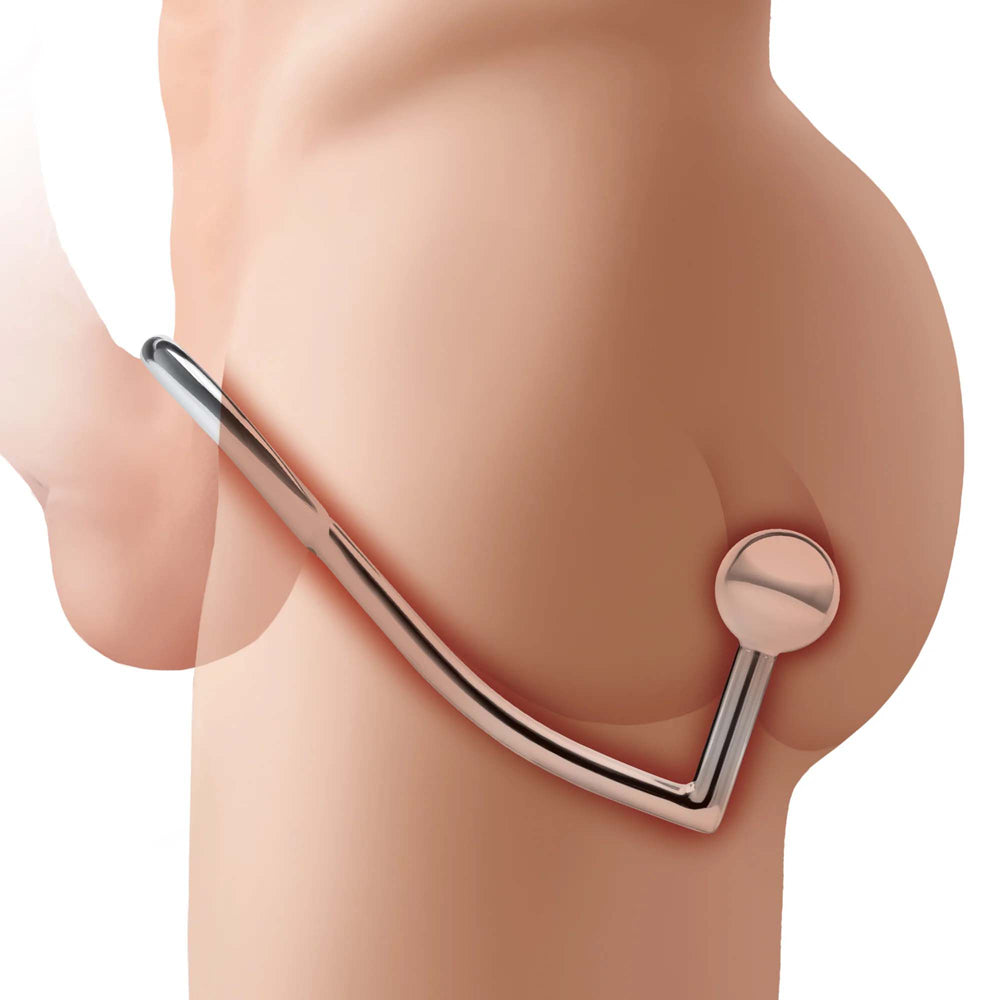 Stainless Steel Anal Hook & Cock Ring | 4890808283417 | Available at EroticWarehouse.com