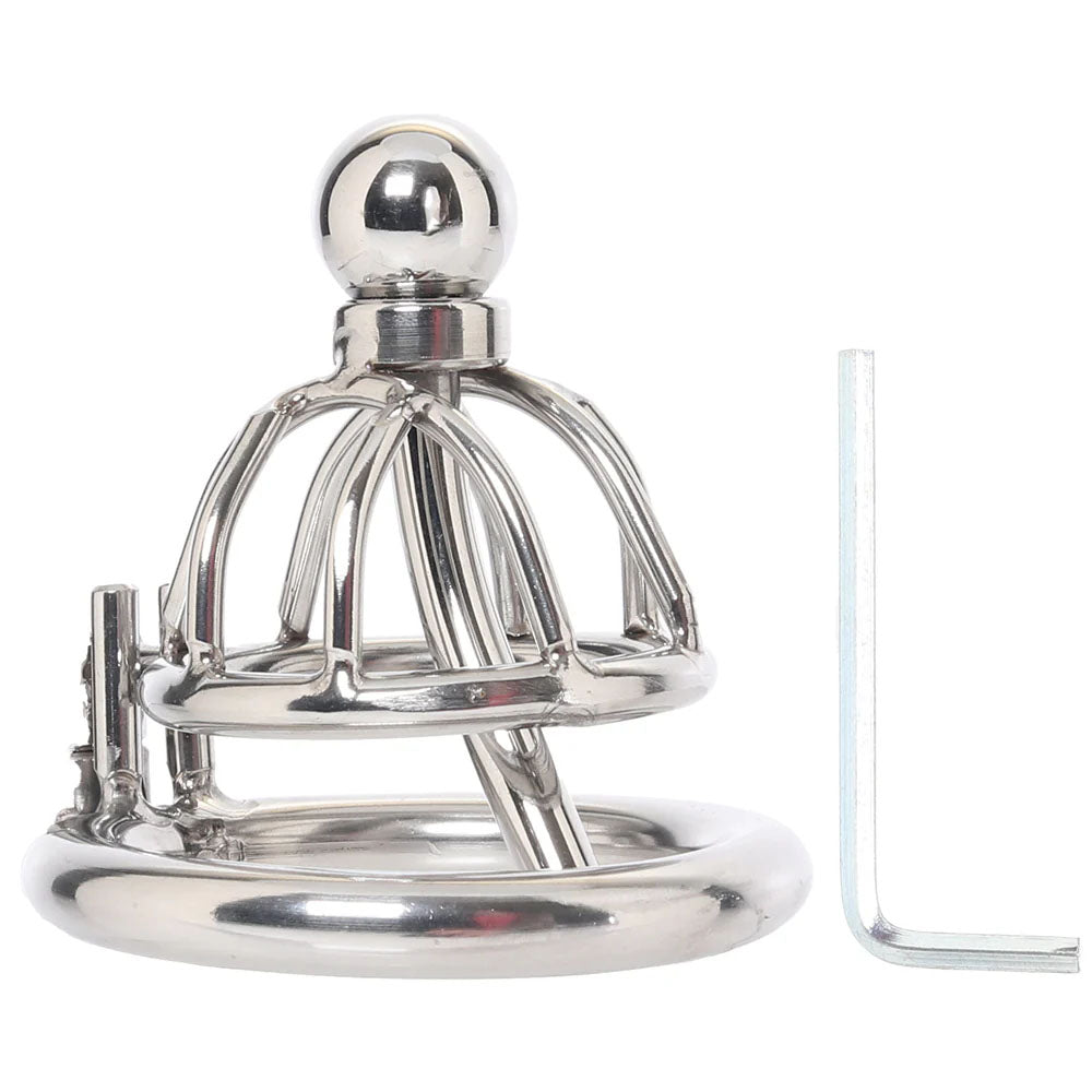 Lockmaster Stainless Steel Inverted Micro Chastity Cage With Urethral Straw | 4890808285350 | Available at EroticWarehouse.com