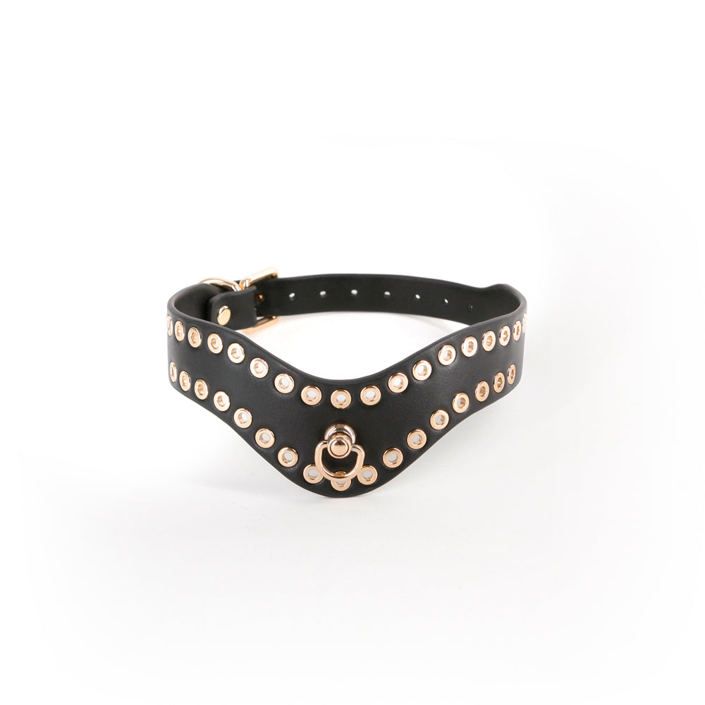 Hustler's Taboo Kali Collar Black | 657447108464 | Available at EroticWarehouse.com