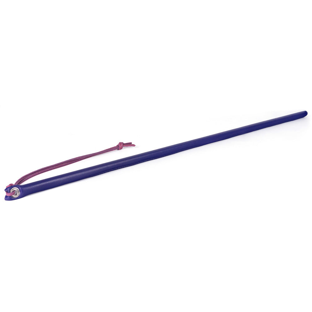 24" Leather Wrapped Cane Purple | 669729110232 | Available at EroticWarehouse.com