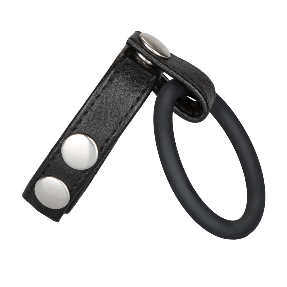 Medium Leather Ball Spreader Black | 716770008312 | Available at EroticWarehouse.com
