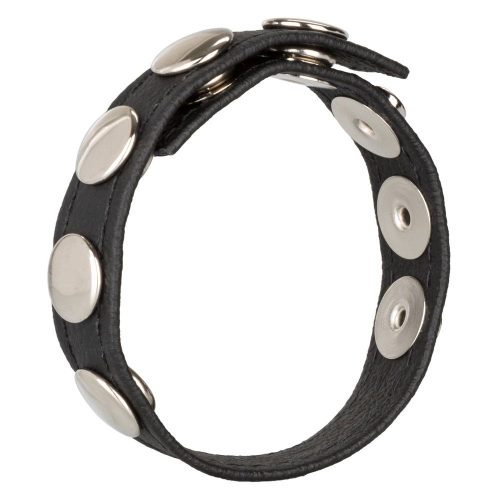 Leather Multi-Snap Ring Black | 716770048523 | Available at EroticWarehouse.com