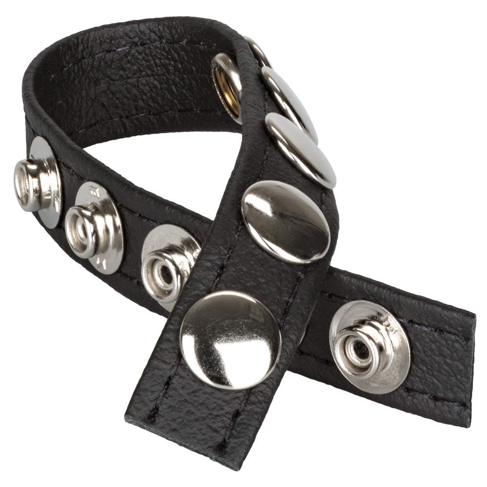 Leather Multi-Snap Ring Black | 716770048523 | Available at EroticWarehouse.com