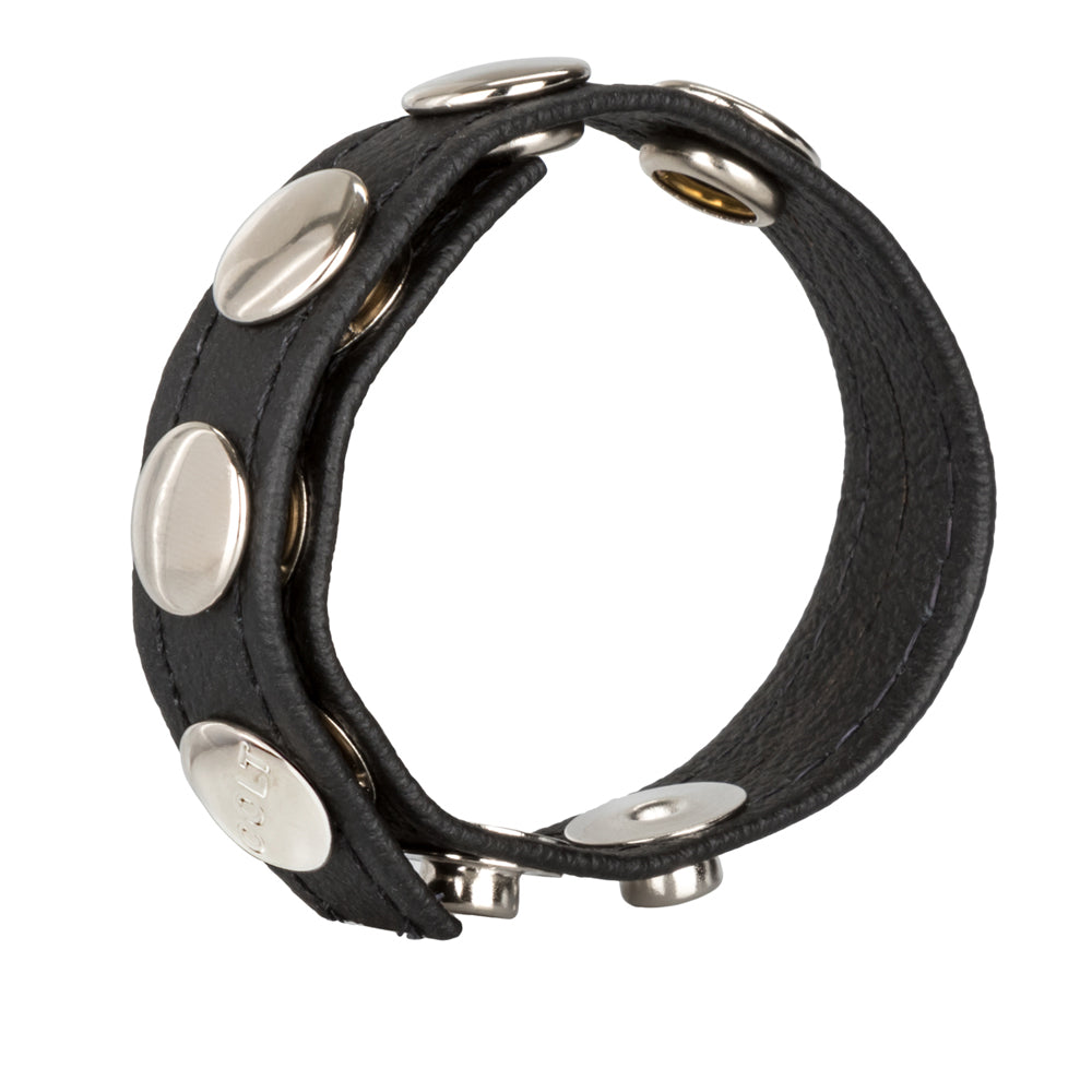 Colt Leather C/B Strap 5-Snap Fastener Black | 716770051318 | Available at EroticWarehouse.com