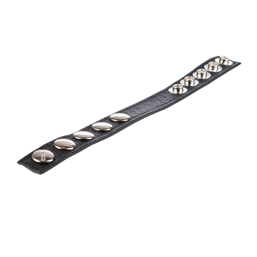 Colt Leather C/B Strap 5-Snap Fastener Black | 716770051318 | Available at EroticWarehouse.com