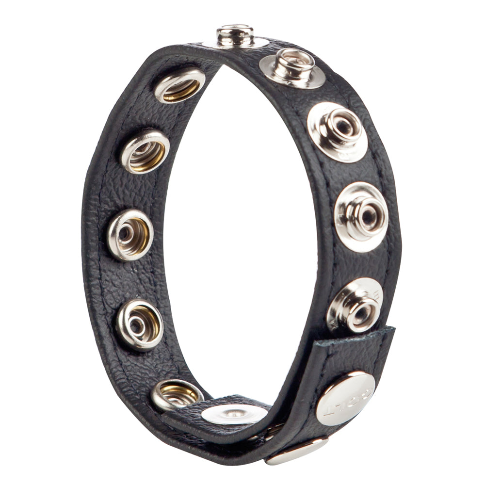 Colt Leather C/B Strap 8 Snap Fastener Black | 716770051325 | Available at EroticWarehouse.com