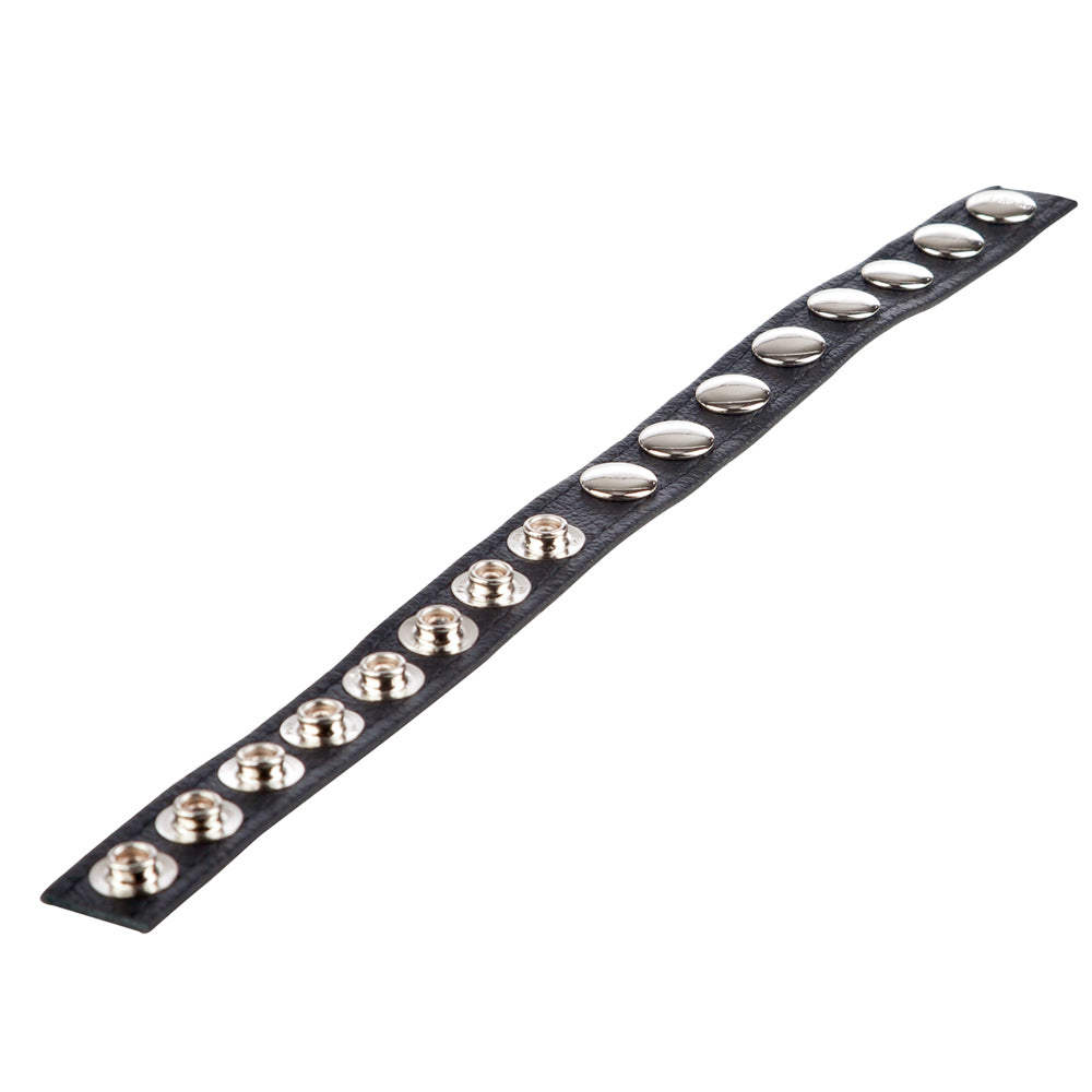 Colt Leather C/B Strap 8 Snap Fastener Black | 716770051325 | Available at EroticWarehouse.com