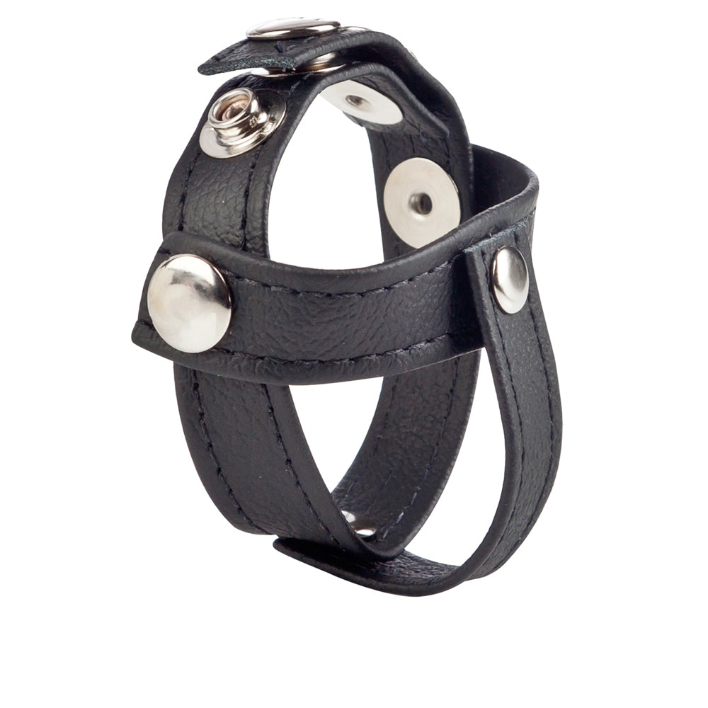 Colt Leather C/B Strap H-Piece Divider Black | 716770051332 | Available at EroticWarehouse.com