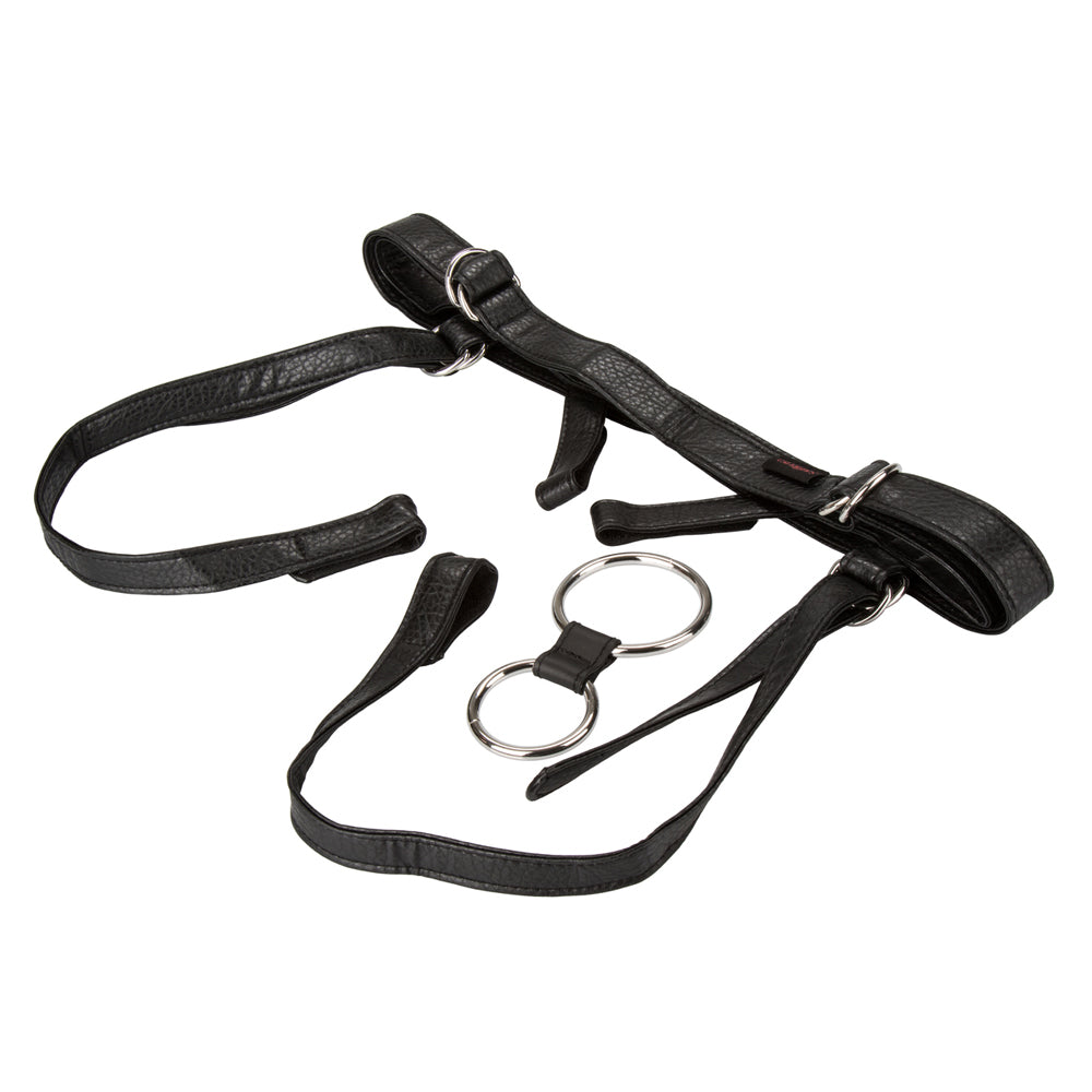 Her Royal Harness The Duchess | 716770090287 | Available at EroticWarehouse.com