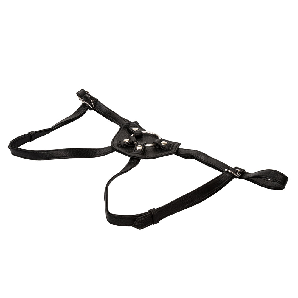 Her Royal Harness The Countess | 716770090317 | Available at EroticWarehouse.com