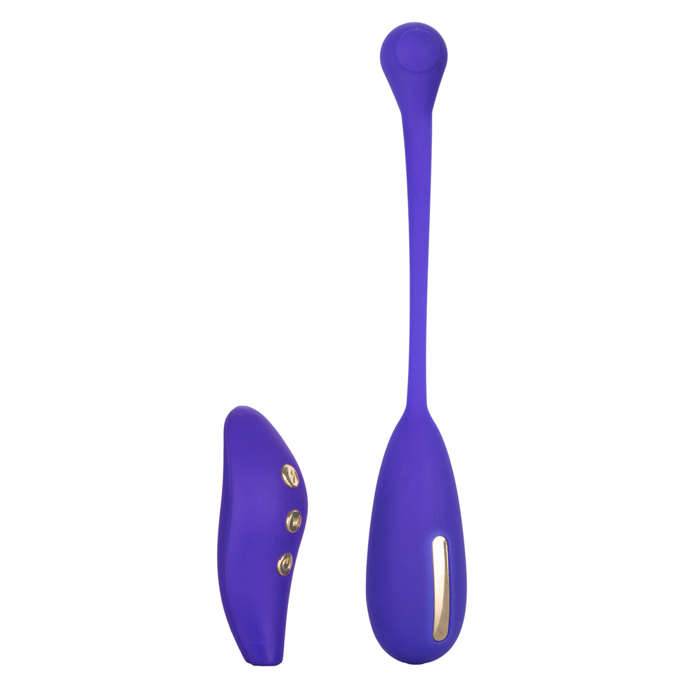 Impulse Intimate E-Stimulator Remote Kegel Exerciser | 716770091390 | Available at EroticWarehouse.com