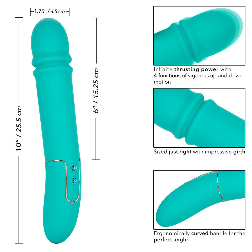 Shameless Flirt | 716770093837 | Available at EroticWarehouse.com