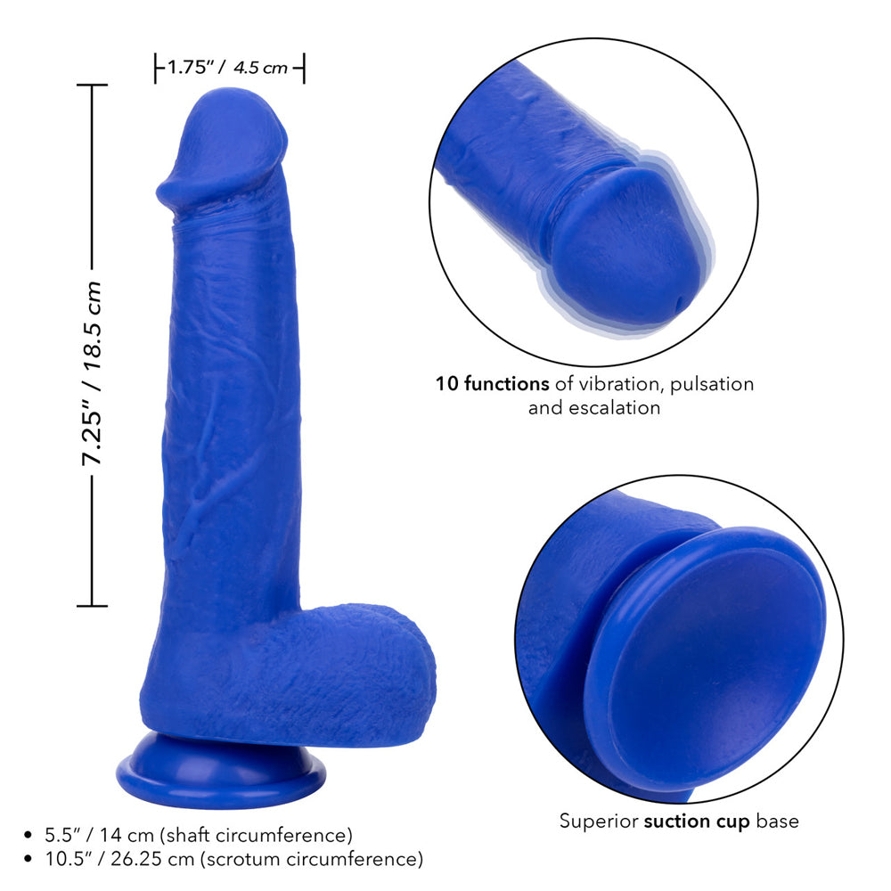 Admiral 8" Vibrating Captain | 716770105271 | Available at EroticWarehouse.com