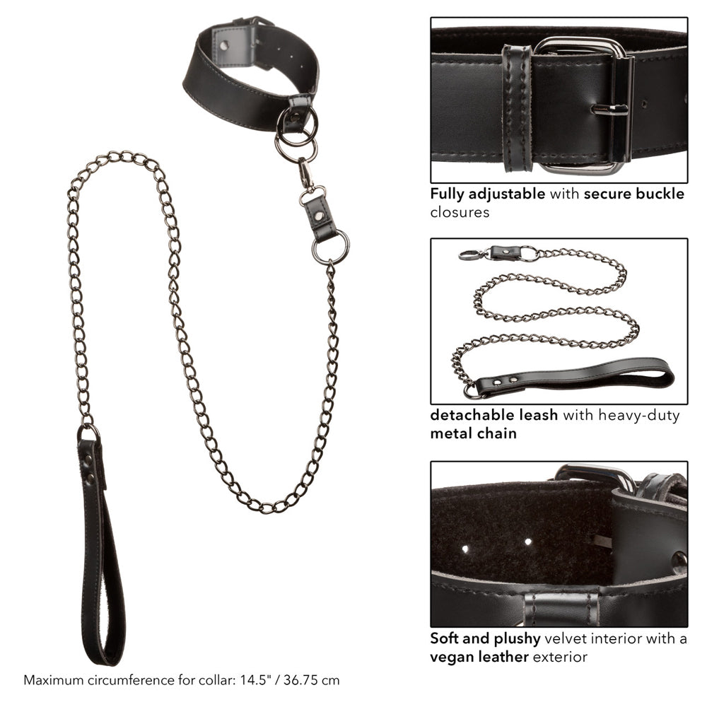 Euphoria Collection Collar With Chain Leash | 716770105349 | Available at EroticWarehouse.com
