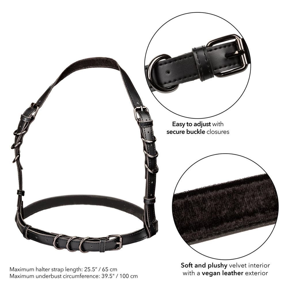 Euphoria Collection Halter Buckle Harness | 716770105387 | Available at EroticWarehouse.com