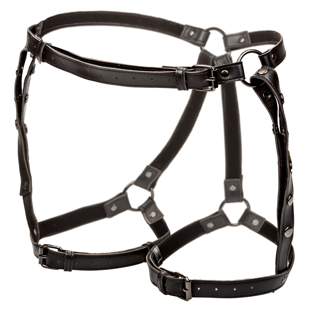 Euphoria Collection Plus Size Riding Thigh Harness | 716770105431 | Available at EroticWarehouse.com