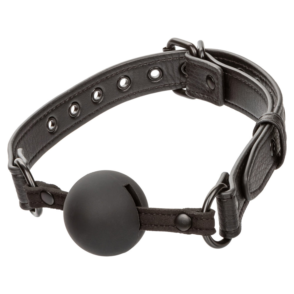 Nocturnal Collection Ball Gag | 716770108401 | Available at EroticWarehouse.com