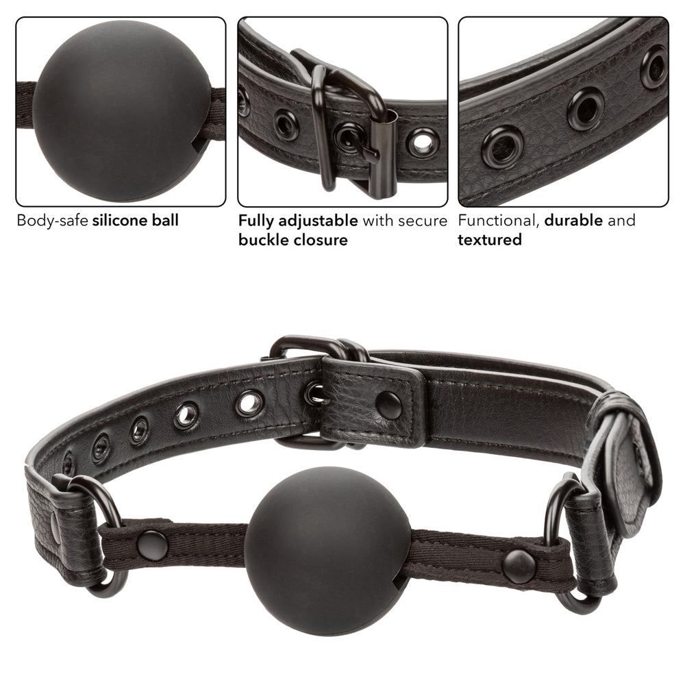 Nocturnal Collection Ball Gag | 716770108401 | Available at EroticWarehouse.com
