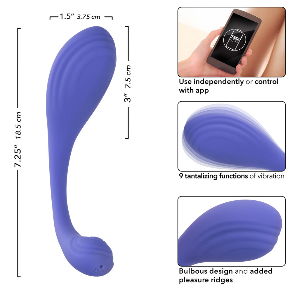 CalExotics Connect Kegel Exerciser | 716770109262 | Available at EroticWarehouse.com