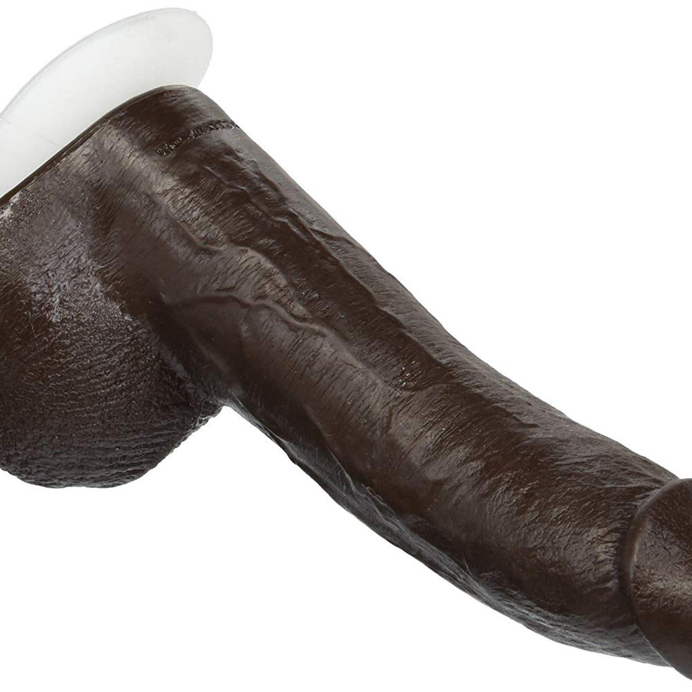 Signature Cocks Mr. Marcus 9" Cock & Balls with Removable Vac-U-Lock Suction Cup Chocolate | 782421786618 | Available at EroticWarehouse.com