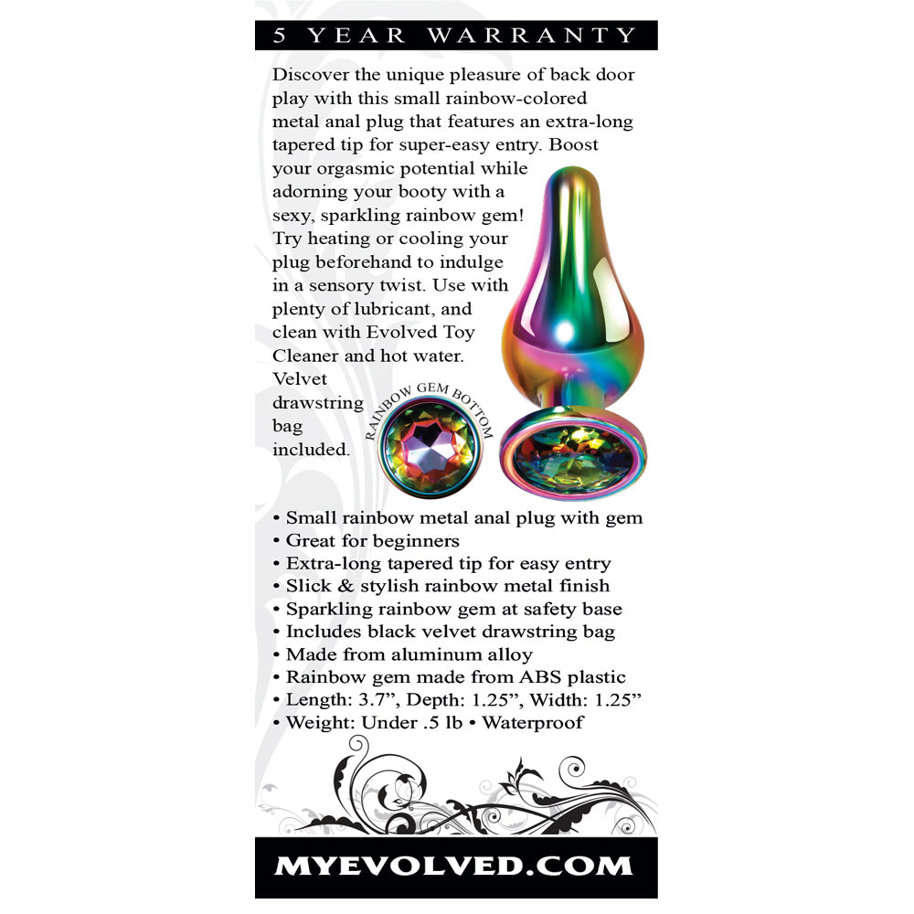 Rainbow Metal Plug Small | 844477018546 | Available at EroticWarehouse.com