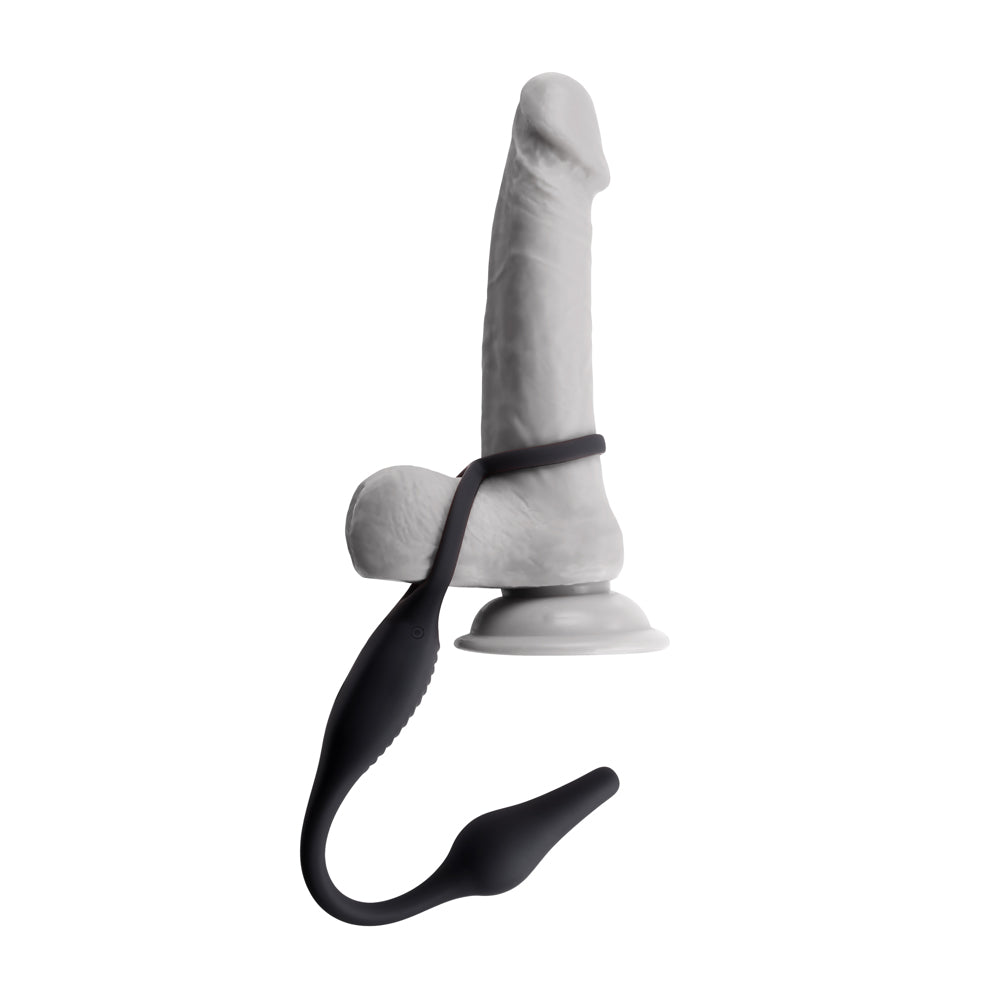 Plug & Tug | 844477023687 | Available at EroticWarehouse.com