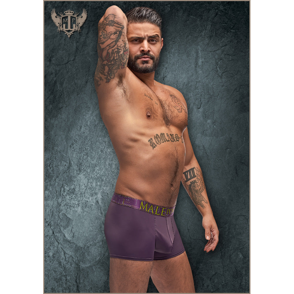 Avant-Garde Enhancer Short Eggplant S | 845830080767 | Available at EroticWarehouse.com