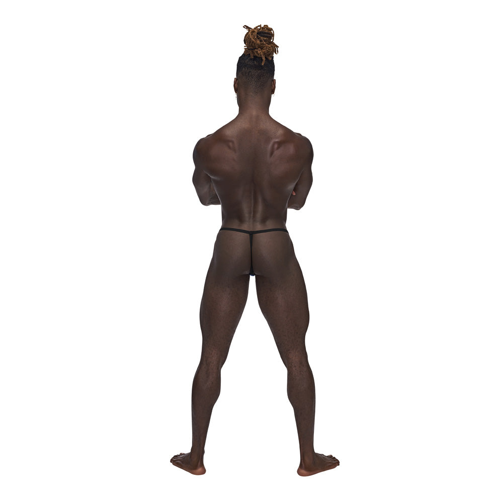 Sexagon Posing Strap Royal One Size | 845830086516 | Available at EroticWarehouse.com