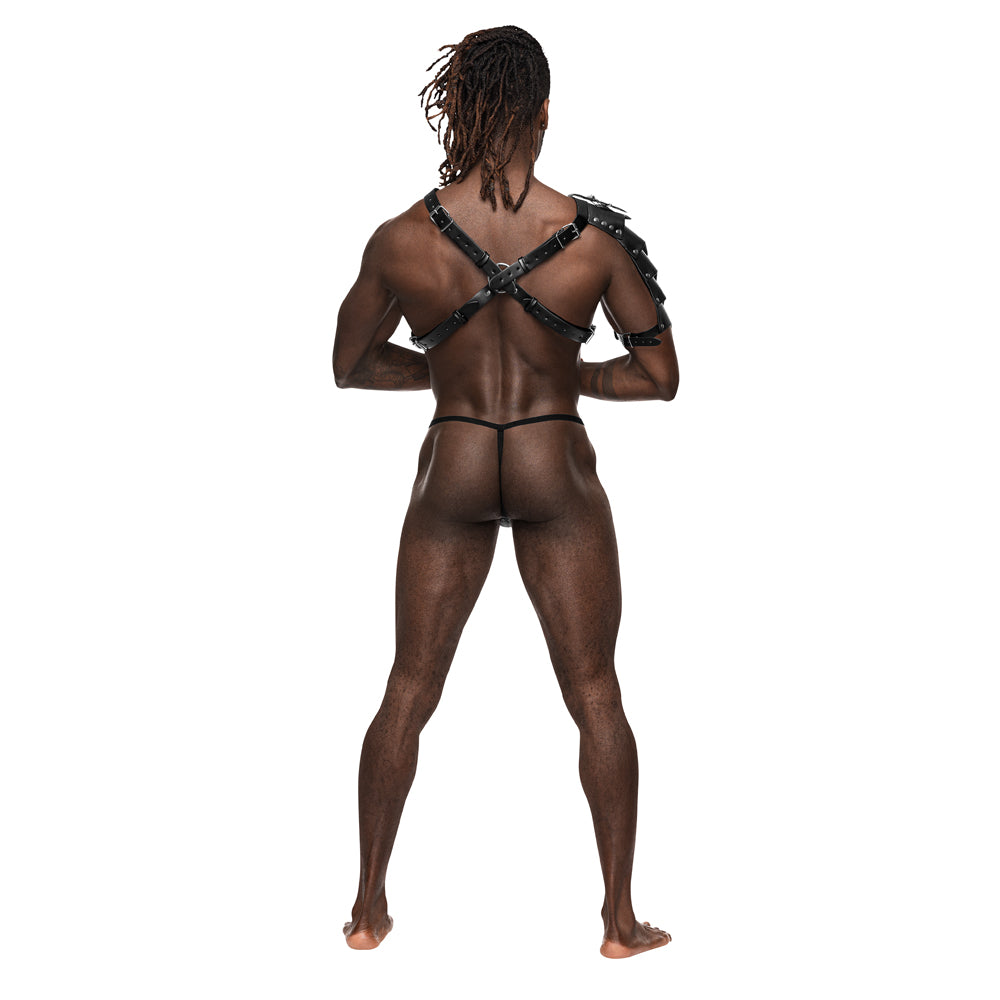 Aquarius Leather Harness | 845830087155 | Available at EroticWarehouse.com