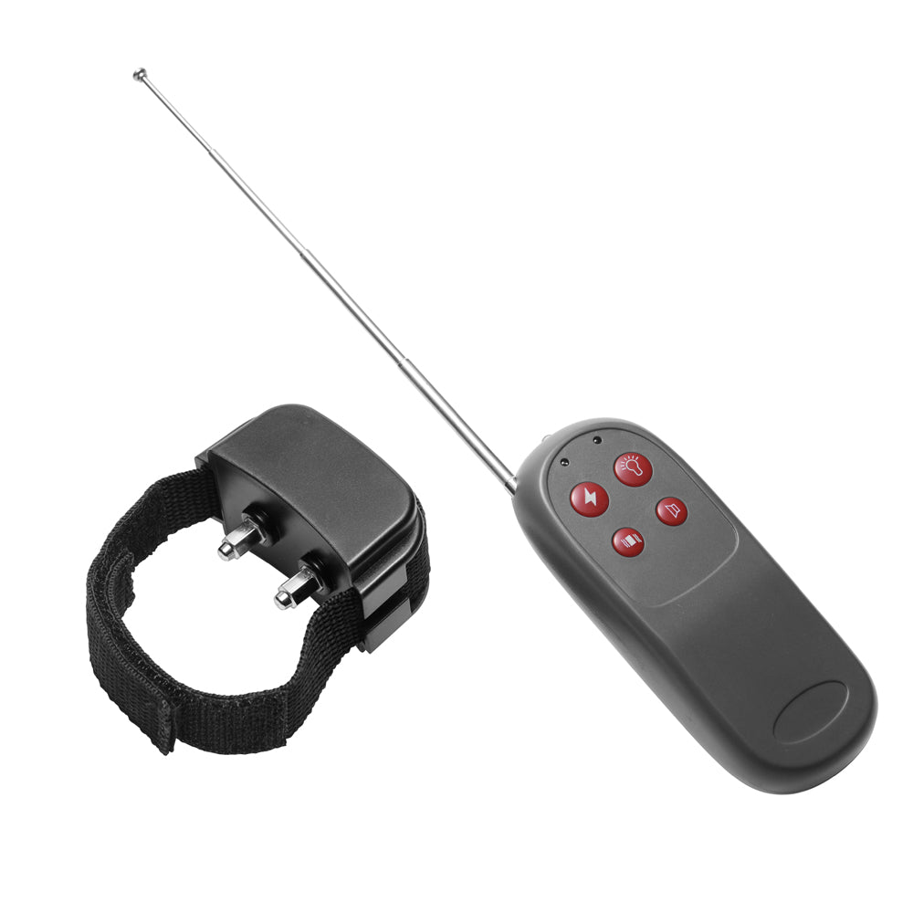 Master Series Cock Shock Remote Cbt Electric Cock Ring | 848518017352 | Available at EroticWarehouse.com