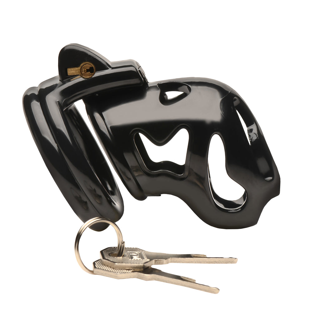 Master Series Hard Stop Double Ring Chastity Cage | 848518056948 | Available at EroticWarehouse.com