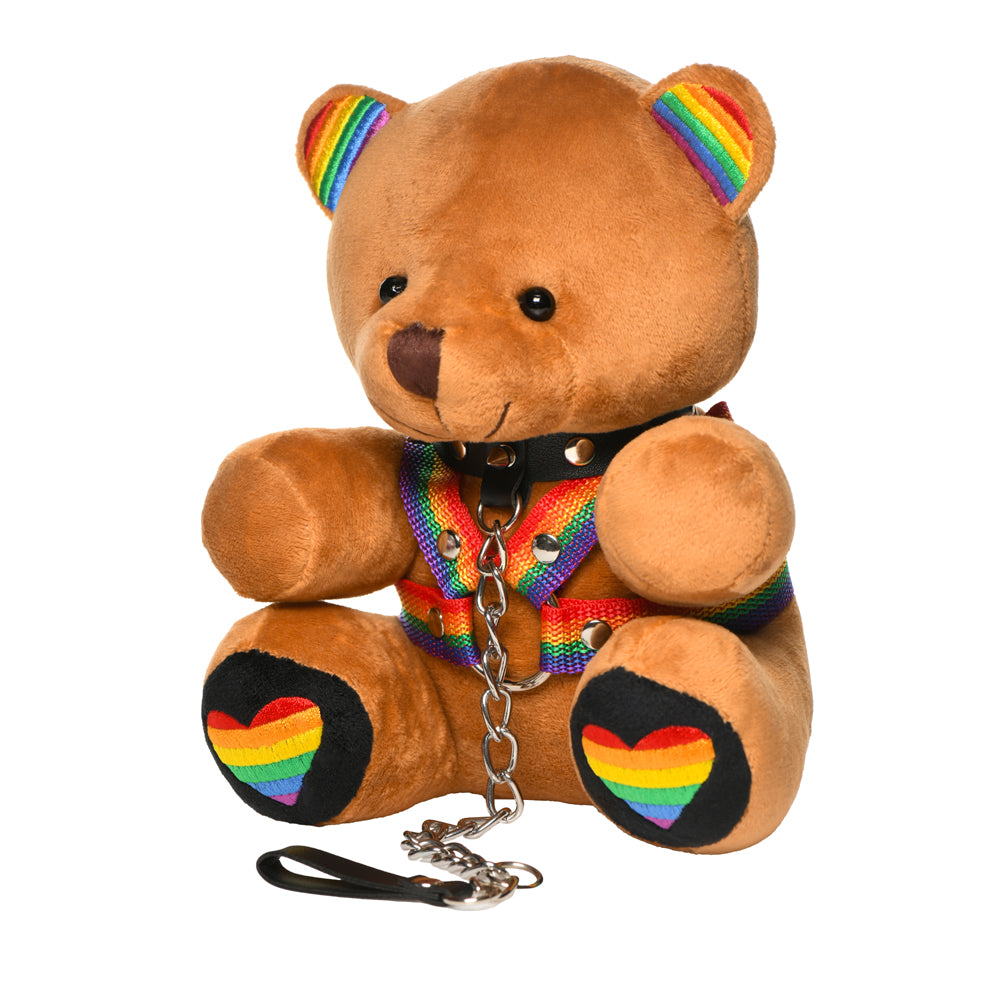Master Series Pride Bear | 848518057549 | Available at EroticWarehouse.com
