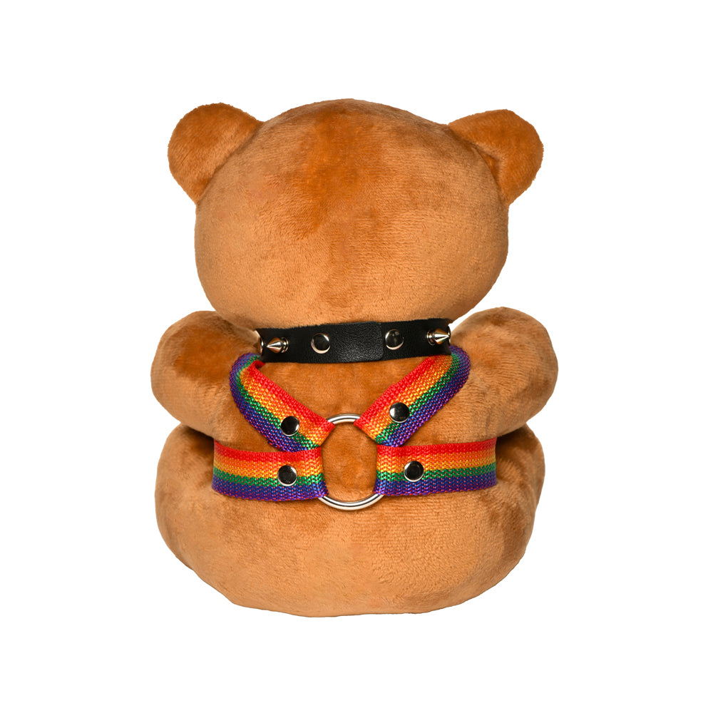 Master Series Pride Bear | 848518057549 | Available at EroticWarehouse.com