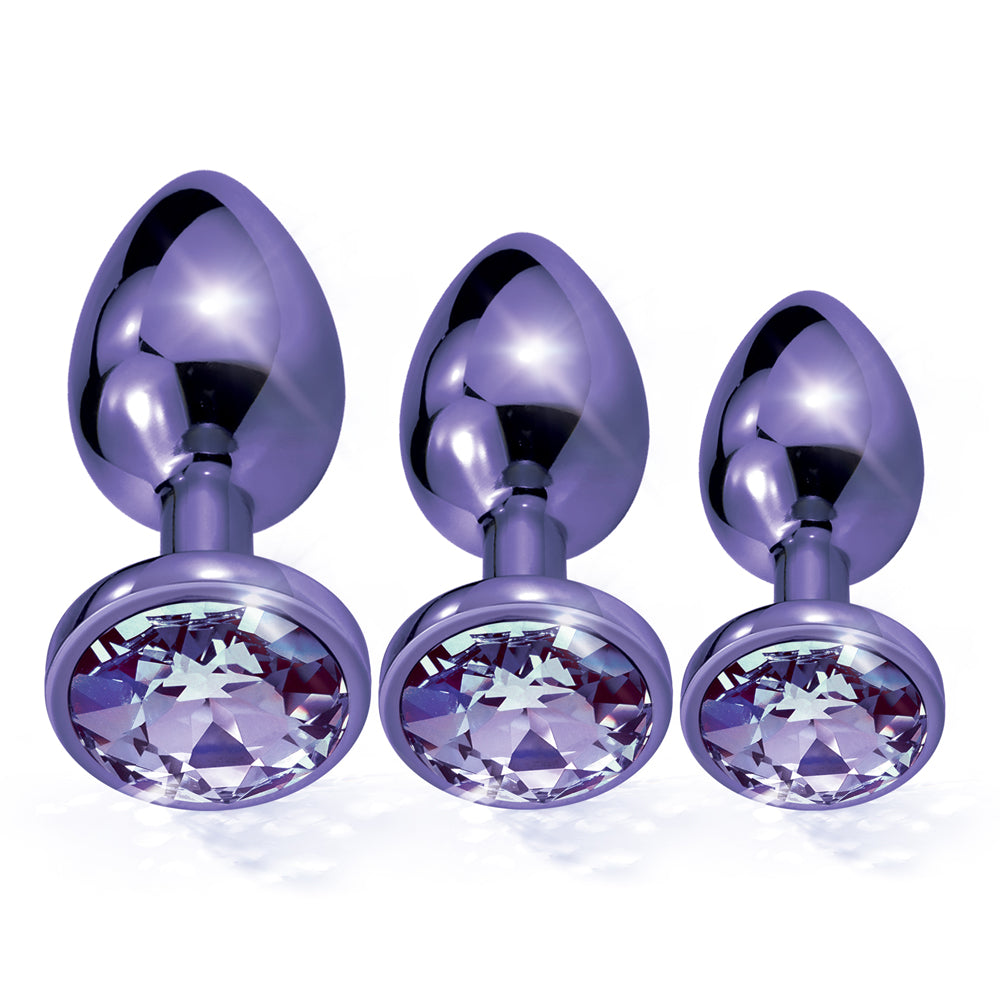 Nixie Metal Butt Plug Trainer Set Purple Metallic | 850010096926 | Available at EroticWarehouse.com