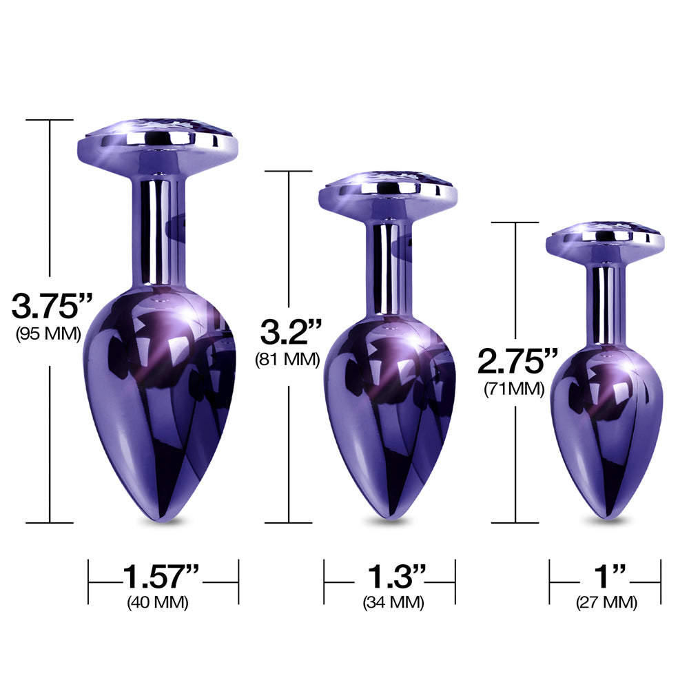 Nixie Metal Butt Plug Trainer Set Purple Metallic | 850010096926 | Available at EroticWarehouse.com