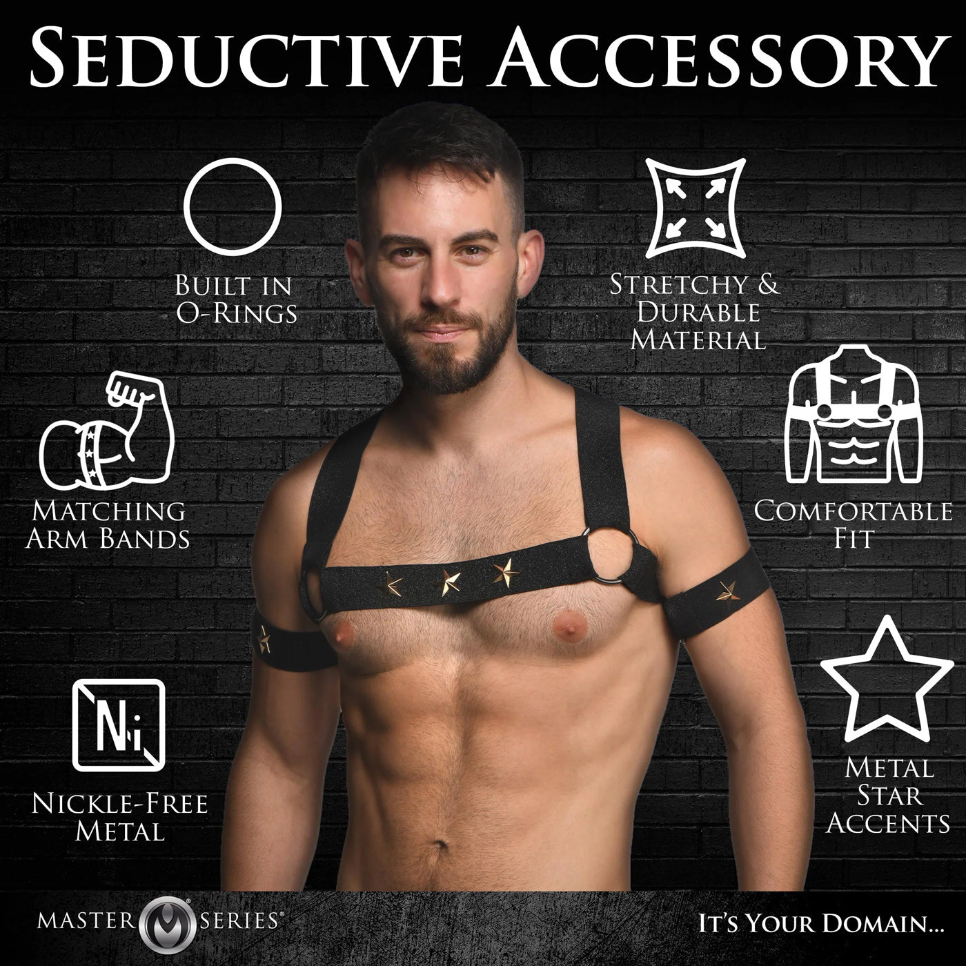 Star Boy Male Chest Harness With Arm Bands - Small/medium - Black | 848518053817 | Available at EroticWarehouse.com