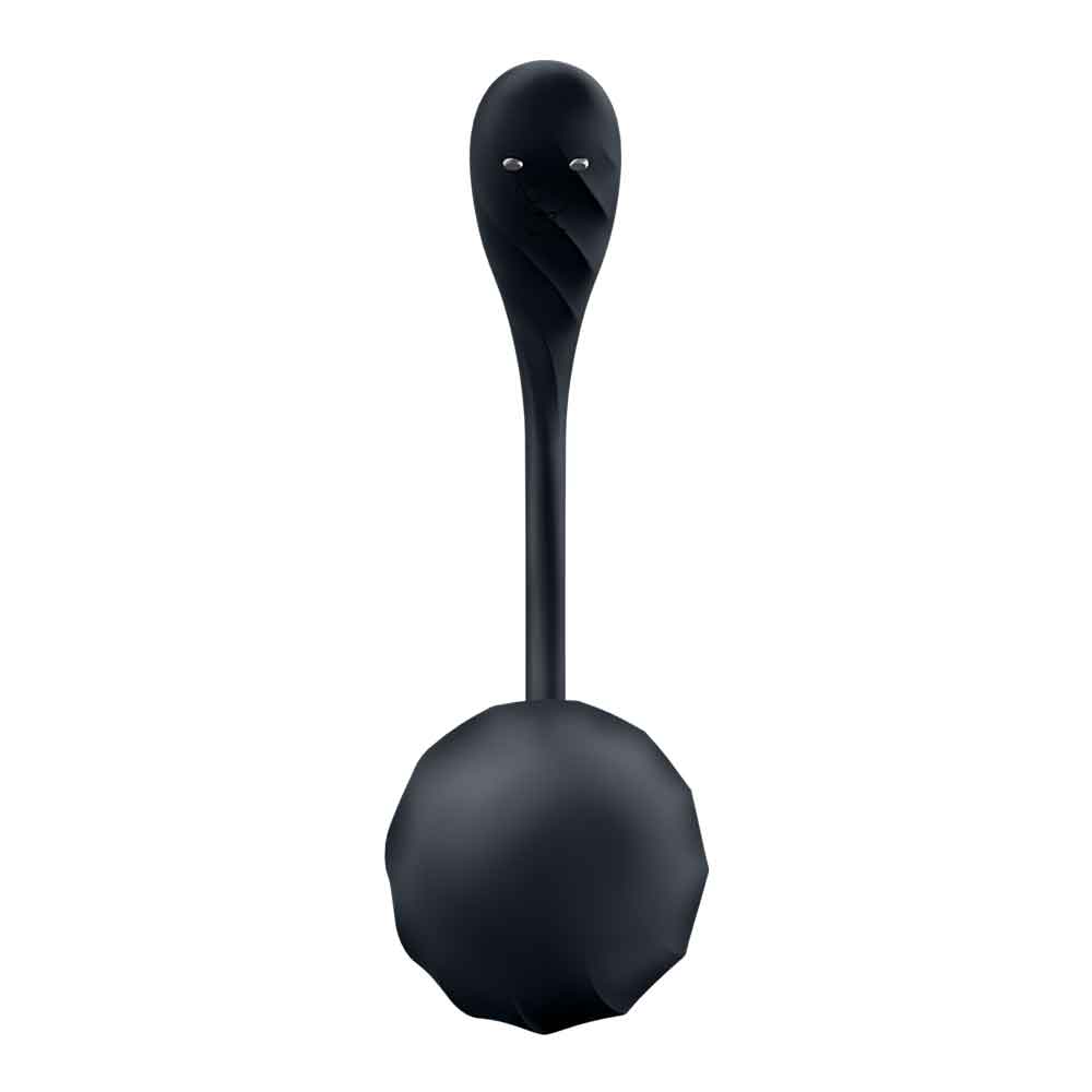 Ribbed Petal Connect App - Black | 4061504002767 | Available at EroticWarehouse.com