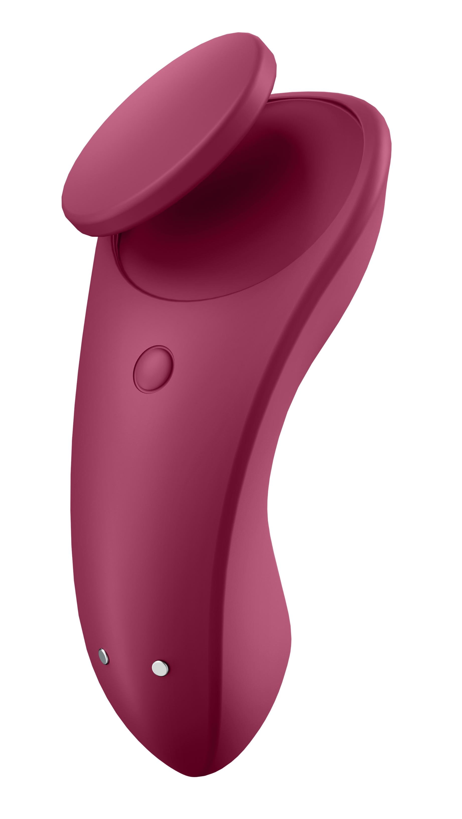 Partner Box 1 - Sexy Secret Plus Double Joy - Violet | 4061504018492 | Available at EroticWarehouse.com