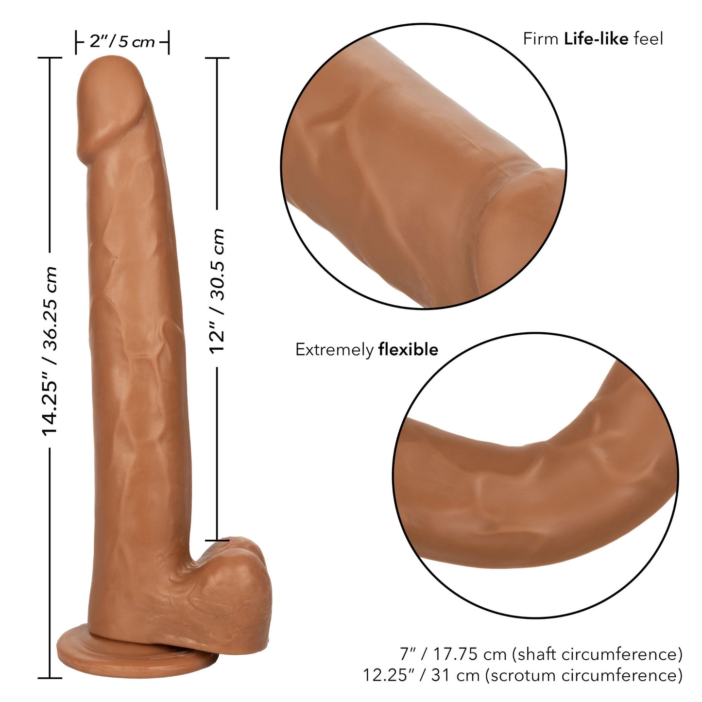 Size Queen 12 inch/30.5 Cm - Brown | 716770098719 | Available at EroticWarehouse.com