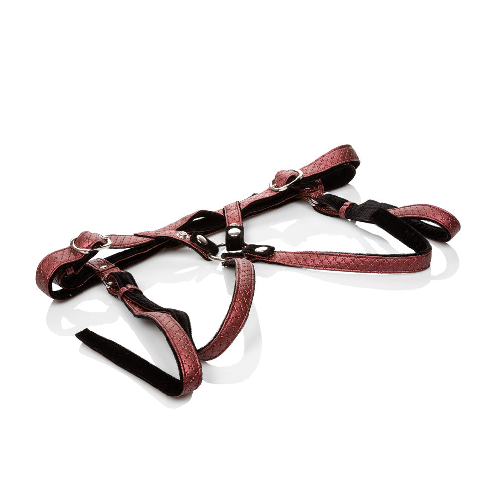Her Royal Harness the Regal Duchess - Red | 716770092021 | Available at EroticWarehouse.com