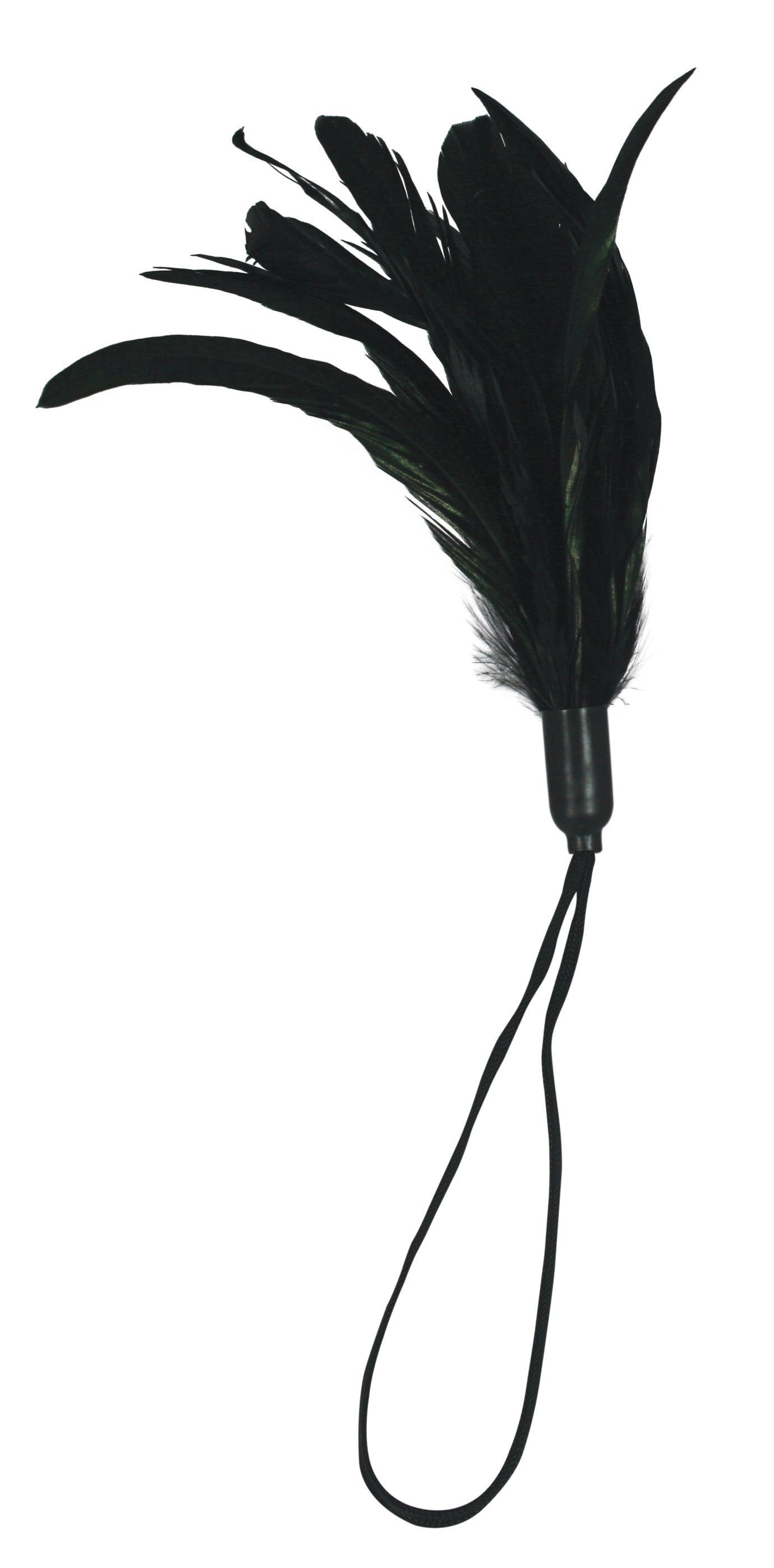 Pleasure Feather - Black | 646709261016 | Available at EroticWarehouse.com