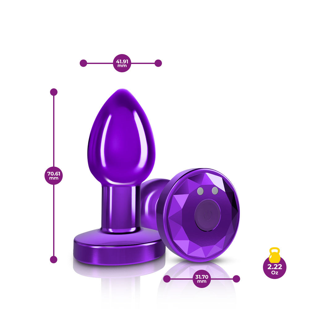 Cheeky Charms - Rechargeable Vibrating Metal Butt Plug With Remote Control - Purple - Small | 850018691482 | Available at EroticWarehouse.com