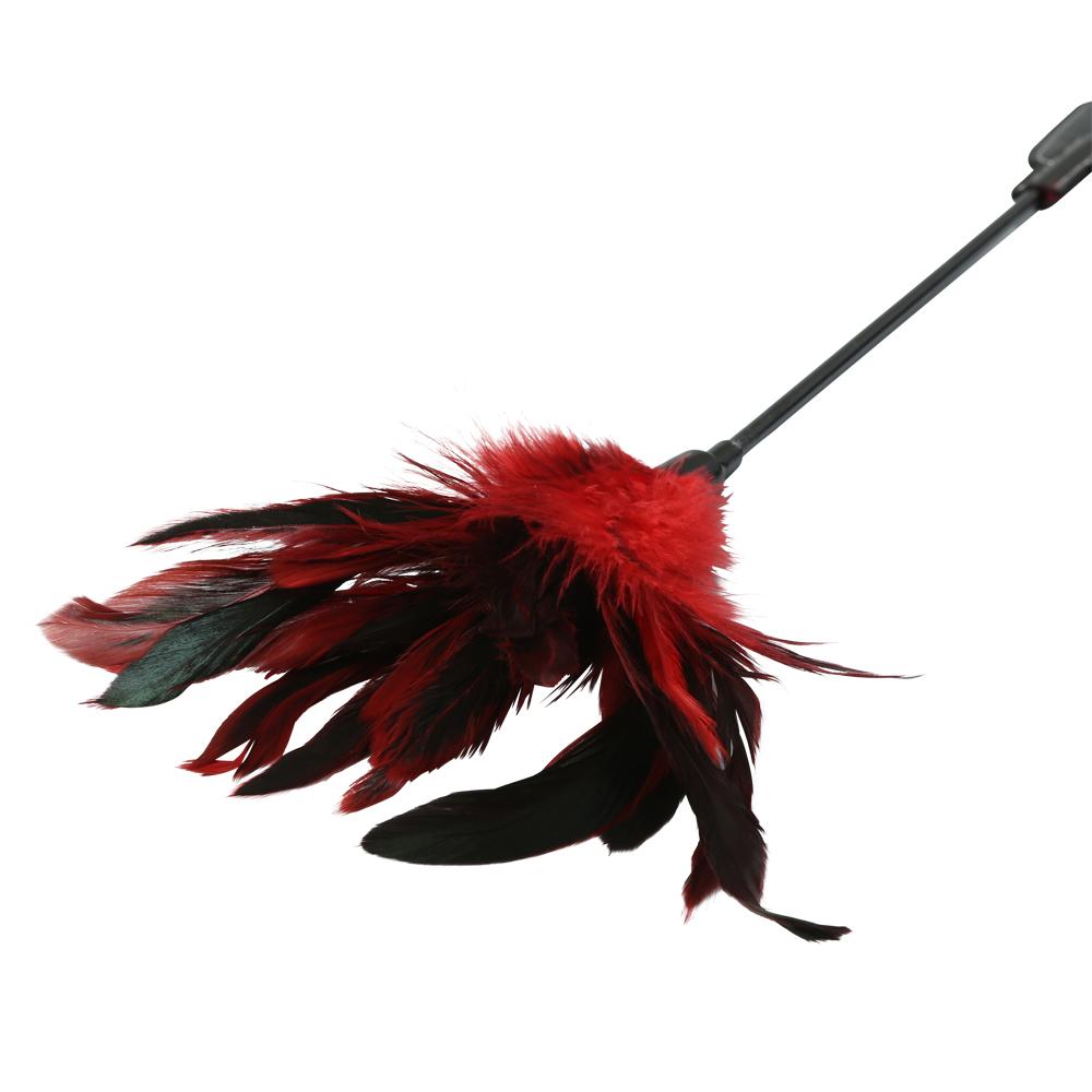 S&M Feather Slapper | 646709100629 | Available at EroticWarehouse.com