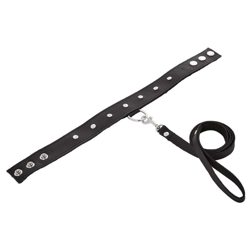 Leather Collar & Leash Set | 646709432027 | Available at EroticWarehouse.com