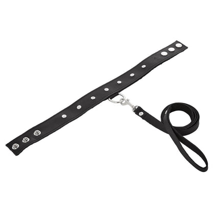 Leather Collar & Leash Set | 646709432027 | Available at EroticWarehouse.com