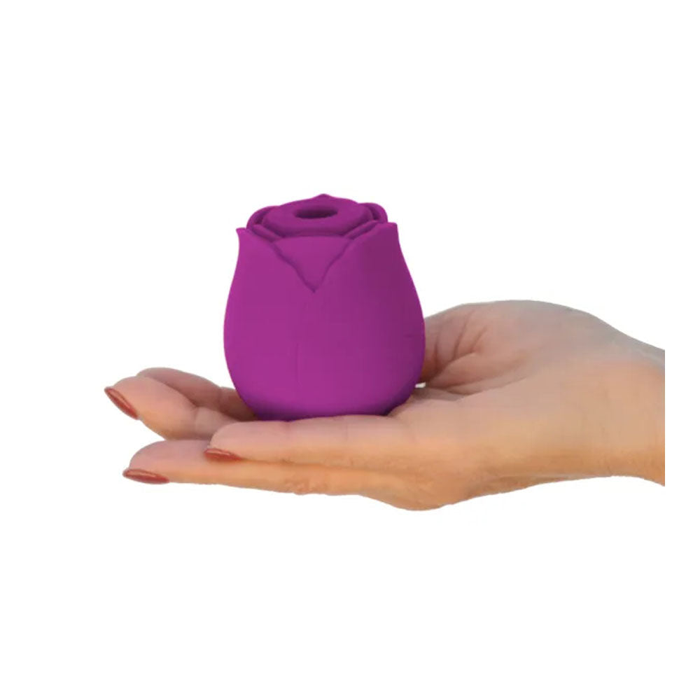 The One Rose Purple | 657447000669 | Available at EroticWarehouse.com