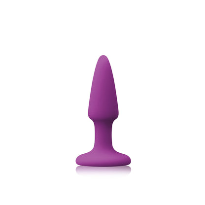 Colours Pleasures Mini Plug Purple | 657447101854 | Available at EroticWarehouse.com