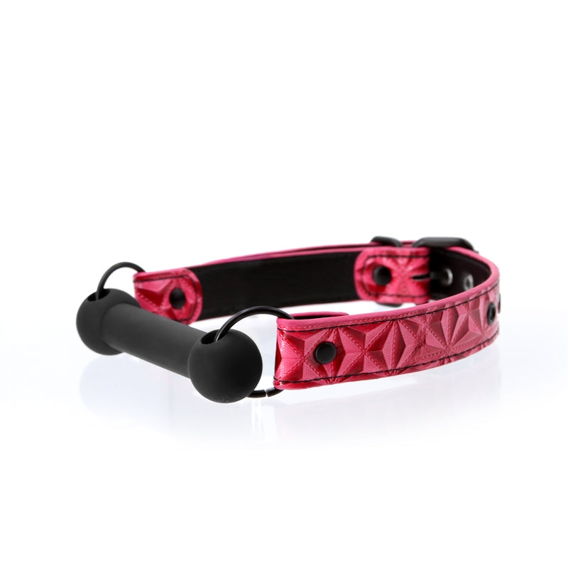 Sinful Bar Gag Pink | 657447102462 | Available at EroticWarehouse.com