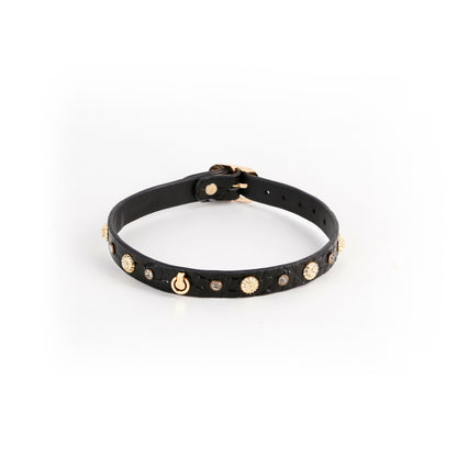 Hustler's Taboo Alina Collar Black | 657447108488 | Available at EroticWarehouse.com